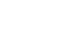 Logo WIDOO