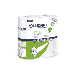 ESSUIE TOUT DOUBLE EPAISSEUR ECO MAXI LUCART - paquet de 2