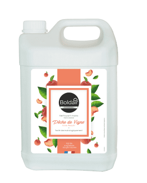 SAVON LIQUIDE BOLDAIR PECHE DE VIGNE 5L BIDON
