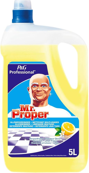 NETTOYANT MULTI-SURFACES MR PROPRE 5L CITRON