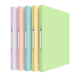 CLASSEUR POLYPROPYLENE 2 ANNEAUX 15MM PASTEL ASSORTI OXFORD URBAN