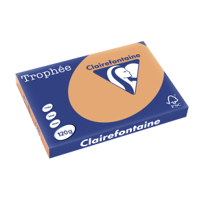 PAPIER CLAIREFONTAINE TROPHEE A3 120Gr CARAMEL - ramette de 250