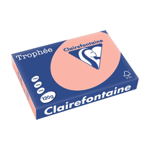 PAPIER CLAIREFONTAINE TROPHEE A4 120Gr PECHE - ramette de 250