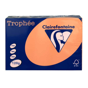 PAPIER CLAIREFONTAINE TROPHEE A4 120Gr CLEMENTINE - ramette de 250