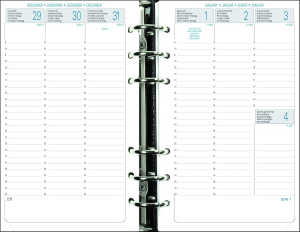 RECHARGE AGENDA EXATIME 17 SEMAINIER VERTICAL 10x17cm *2027*