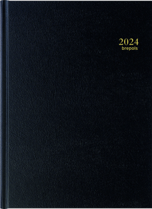 Calendrier Bicolore 53 x 40,5 cm Semestriel 2024 - Gris/Bleu sur