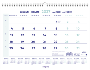 CALENDRIER MURAL MENSUEL WIRE-O 46x31cm BREPOLS *2027*