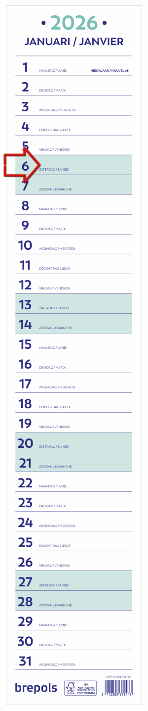 CALENDRIER MURAL MENSUEL RUBAN 11x56.5cm BREPOLS *2026*