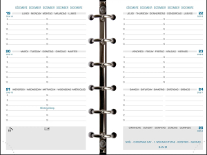 RECHARGE AGENDA EXATIME 14 SEMAINIER HORIZONTAL 8.1x12.6cm *2026*