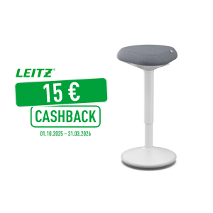 TABOURET ERGONOMIQUE DEBOUT CONFORTABLE LEITZ ERGO ACTIVE GRIS CLAIR