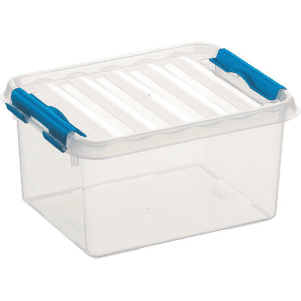 Boîtes de rangement en plastique transparent 2L avec couvercle CLEAR BOX