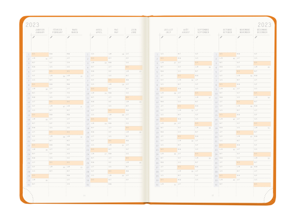 Pag De Garde Orange AGENDA WEBPLANNER SEMAINIER ORANGE RELIE 14.8x21cm *2023*