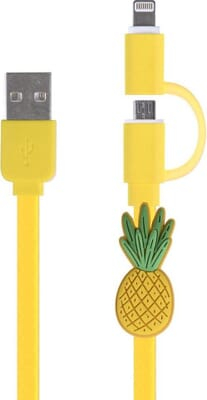 CADEAU-CABLE DE RECHARGE 2 EN 1 MICRO USB ET 8 PIN